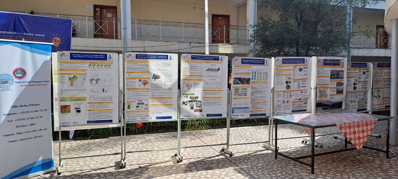 A row of scientific posters on display boards in a sunny courtyard